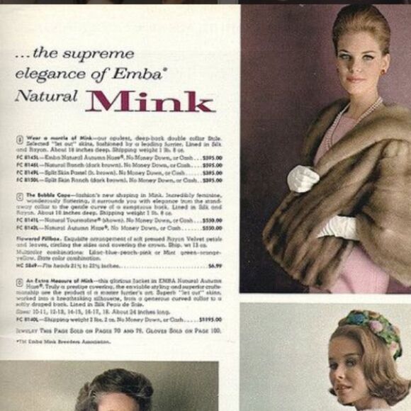 Vintage Aeolian Mink Fur Stole – EMBA Natural Taupe – Lined & Monogrammed - Picture 5 of 11